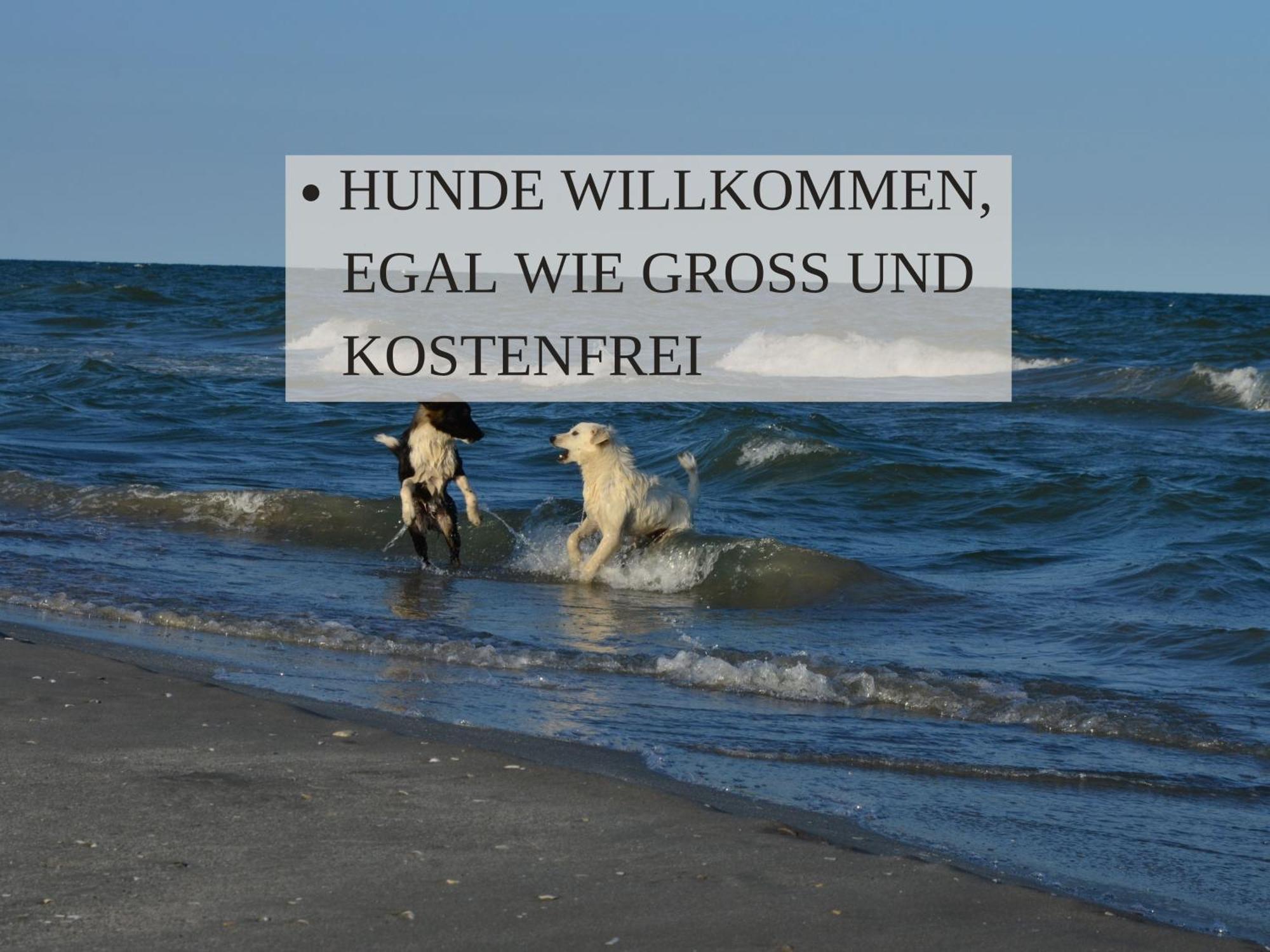 Haus Krabbe Apartments Mit Doppelbetten, Fuer 1-2 Personen, Hunde Kostenfrei Willkommen, Kostenfreier Parkplatz, Zwischen Bremerhaven Und Cuxhaven Gelegen Времен Экстерьер фото